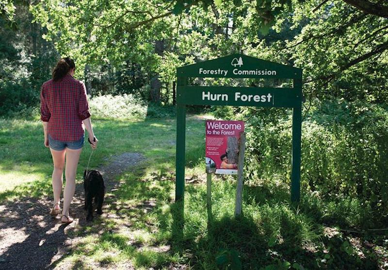 Access to the Hurn Forest on park at Oakdene Forest Park in St Leonards, Ringwood, Hampshire
