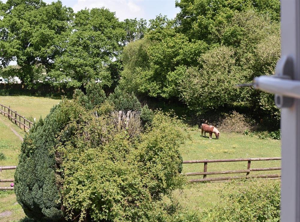 Picturesque view from the twin bedroom at Oakdene Lodge in Wimborne, Dorset
