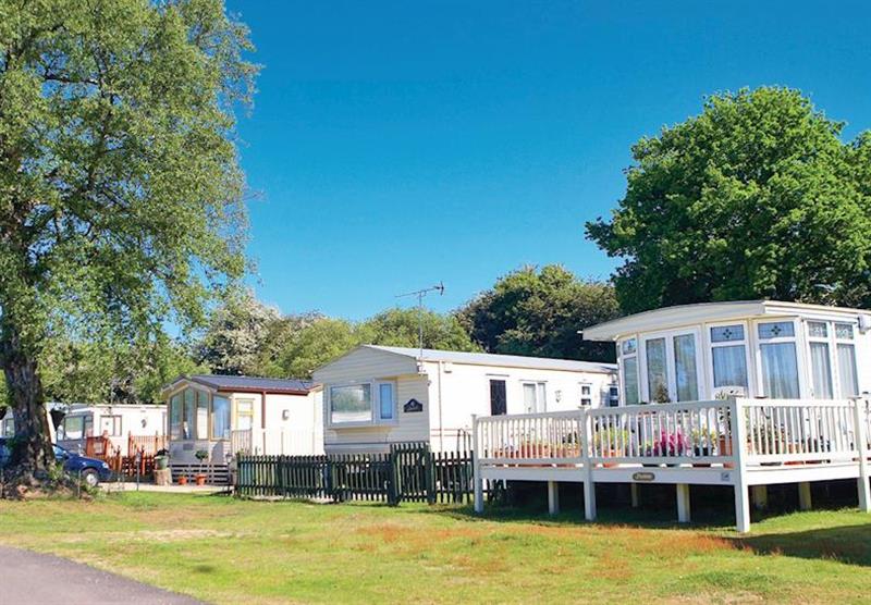 Photo 8 at Oaklands Holiday Park in St Osyth, Essex