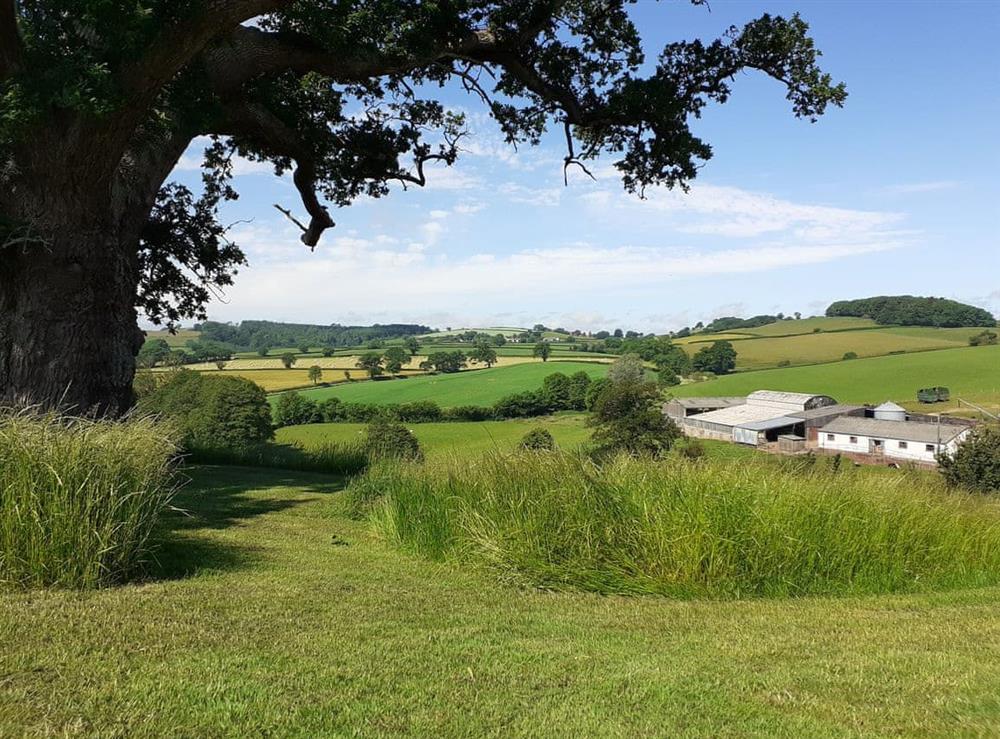 Surrounding area at Oaklands in Stockleigh Pomeroy, Devon