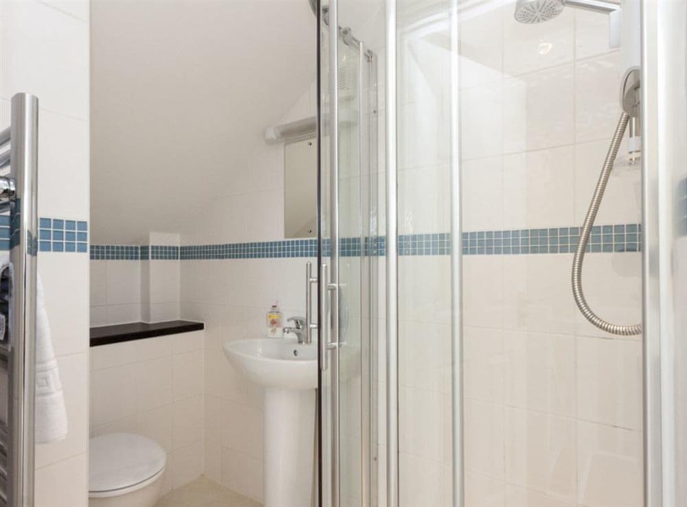 En-suite shower room at Oakridge in Coronation/Forster, Devon