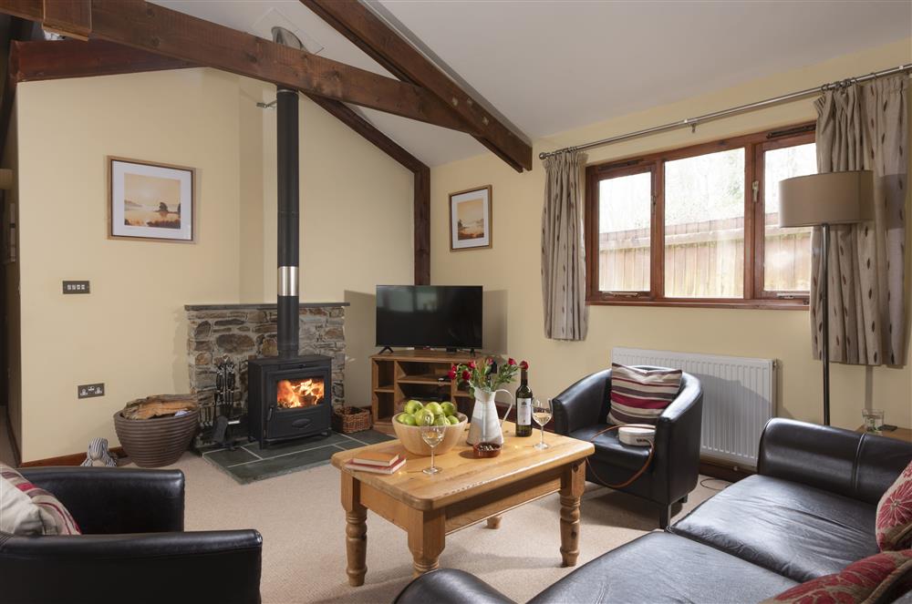 The cosy sitting area, with a wood burning stove