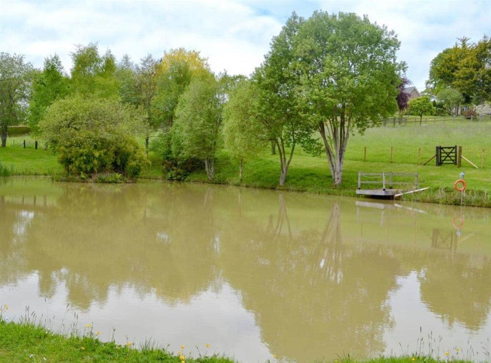 Ideal fishing pond at Oakwood in Cheriton Bishop, near Dartmoor National Park, Devon