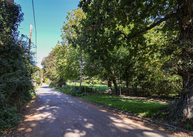 The garden (photo 2) at Oakwood, Chideock