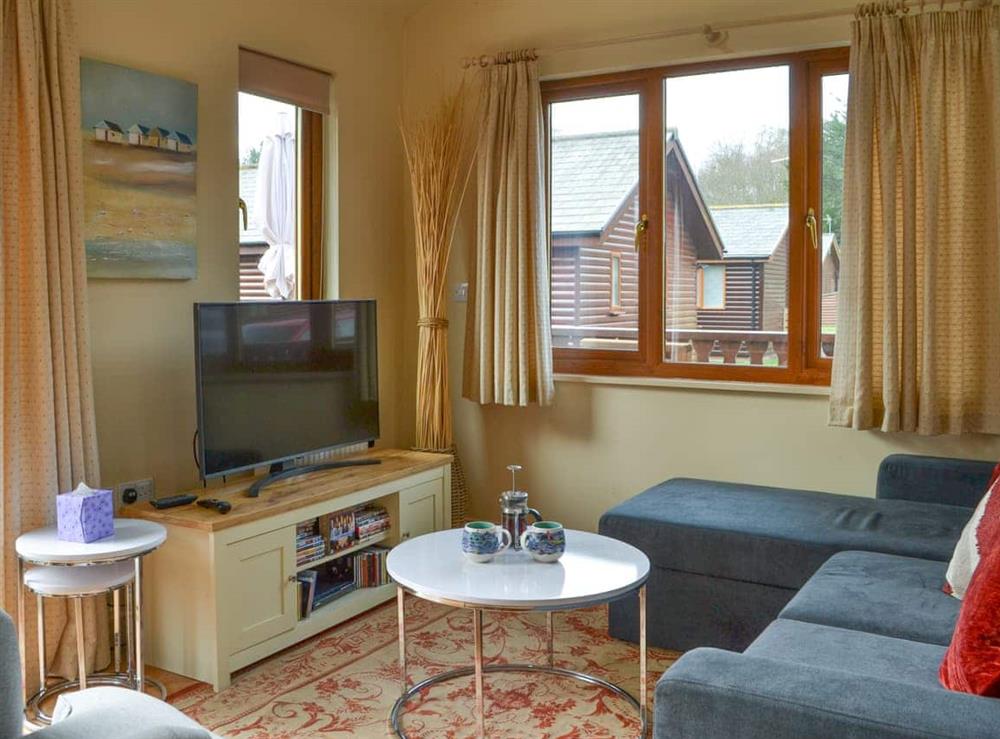 Living area at Oasis Lodge in Sewerby, North Humberside