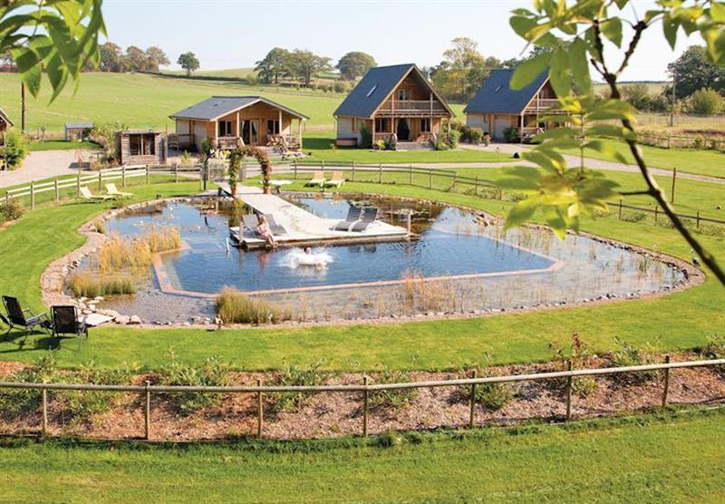 Lodge setting at Oasis Lodges in Herefordshire, Heart of England