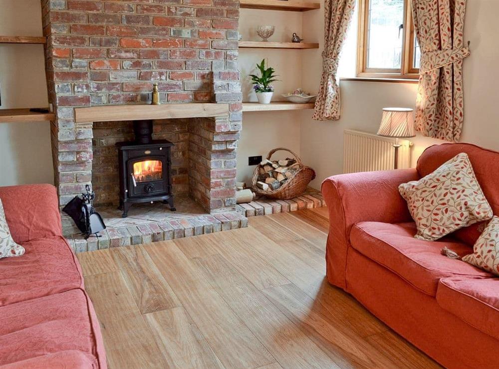 Living room at Oast Cottage in Herstmonceux, near Hailsham, East Sussex