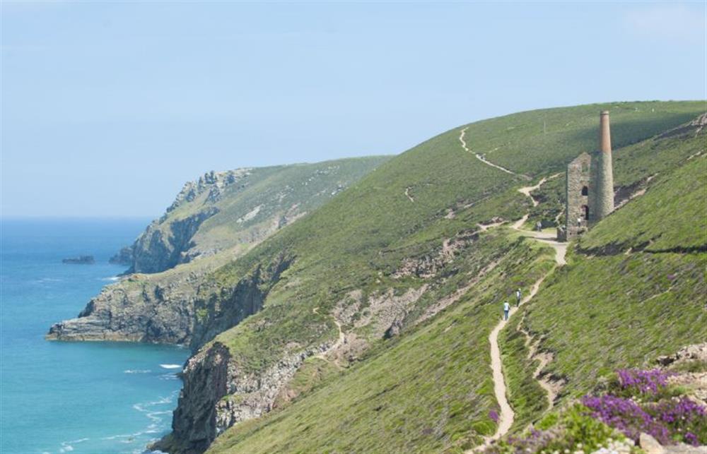 The most scenic coastal walks in all of Cornwall at Ocean Heights, Porthtowan 
