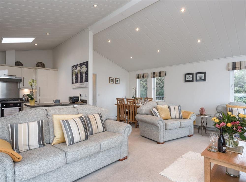 Open plan living space (photo 2) at Ocean Retreat Lodge in Corton, near Lowestoft, Suffolk