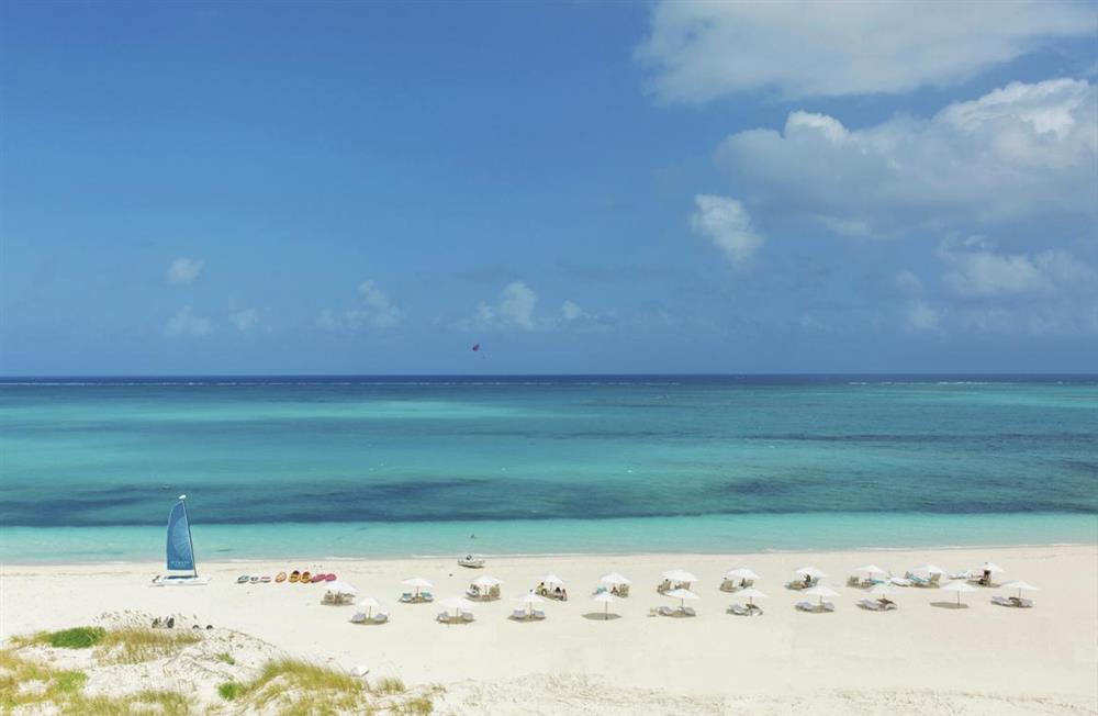 Oceanfront Penthouse (photo 16) at Oceanfront Penthouse in Turks and Caicos, Caribbean
