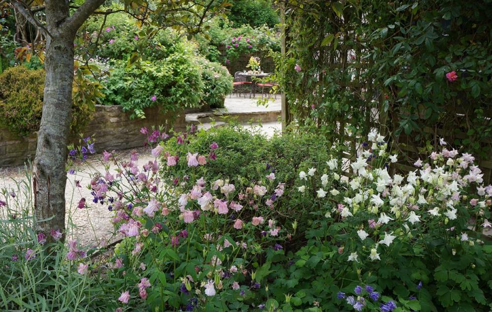 A glimpse through the flowers to the patio area at Odd Nod Cottage, Coombe Keynes