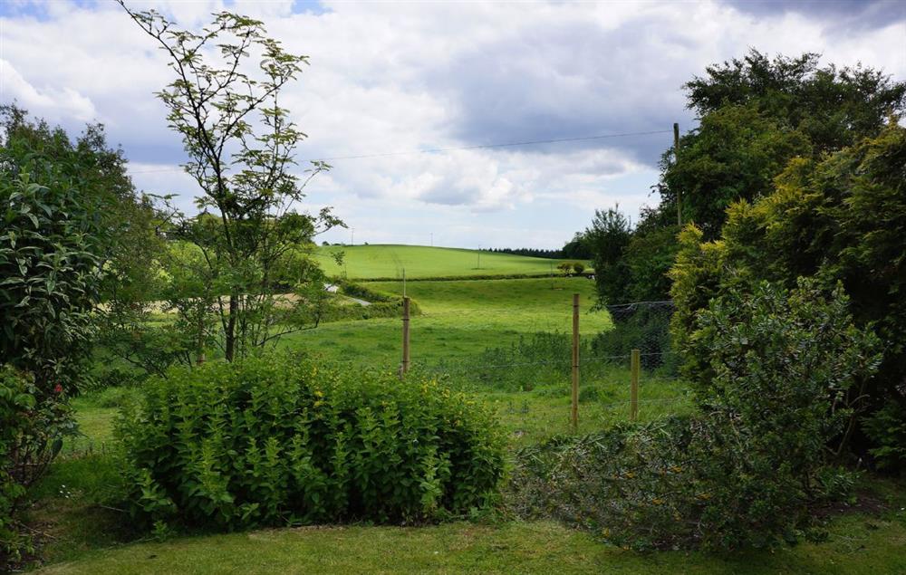 South facing garden stretching out on to open farmland offering lovely views out over fields at Odd Nod Cottage, Coombe Keynes