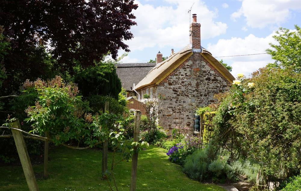The pretty lawned garden at Odd Nod Cottage, Coombe Keynes