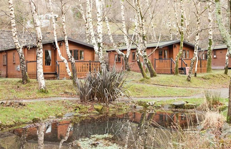 A photo of Park View Lodge at Ogwen Bank Country Park