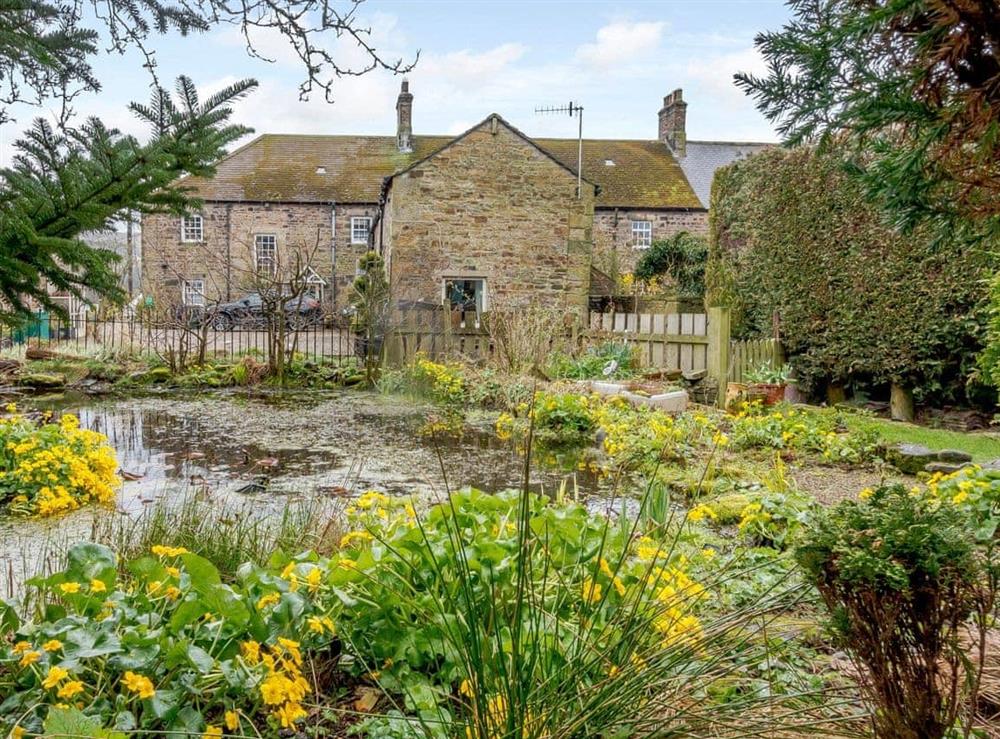 Garden and grounds at Old Brewery Cottage in Melkridge, Northumberland