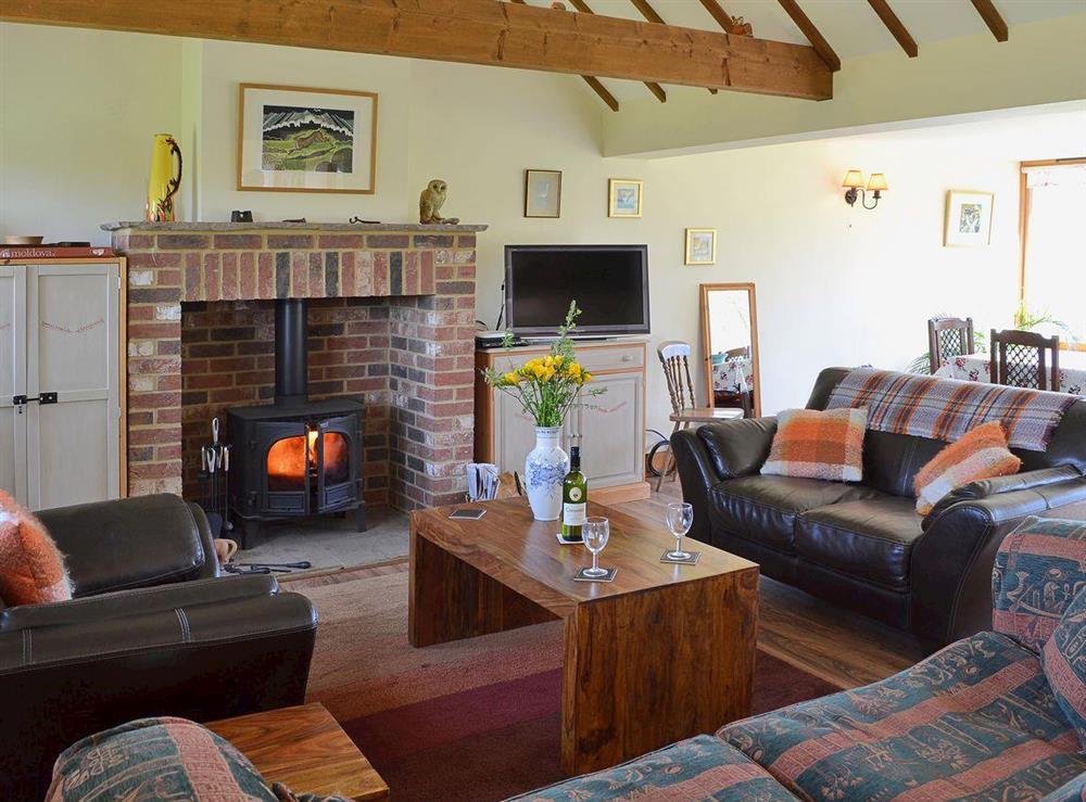 Comfortable living area with wood burner at Old Dairy Barn in Playden, near Rye, East Sussex
