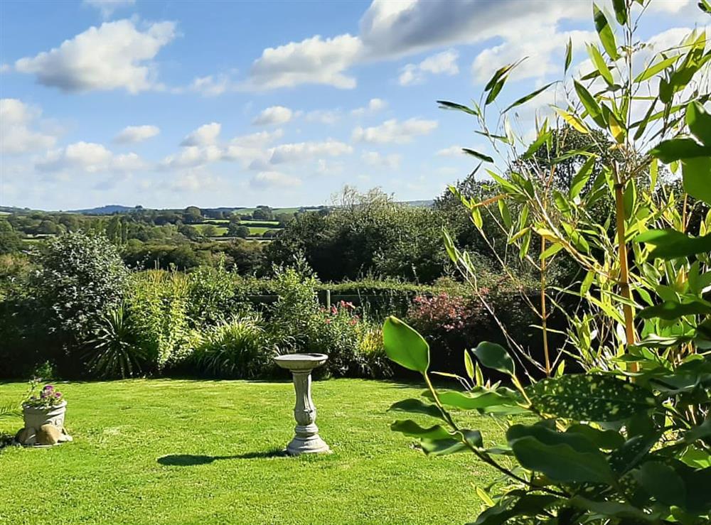 Garden at Old Dairy Cottage in Salwayash, near Bridport, Dorset