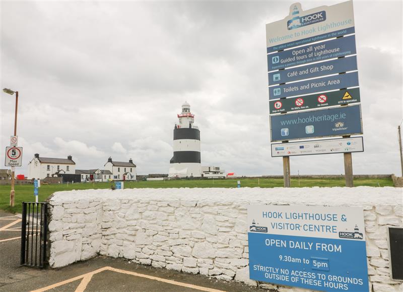 Outside at Old Field House, Slade near Fethard-On-Sea