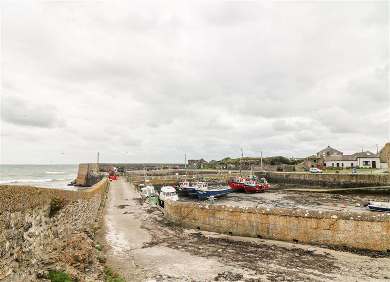 This is the garden at Old Field House, Slade near Fethard-On-Sea