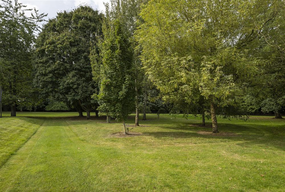 Beautiful lawned area next to the tennis court