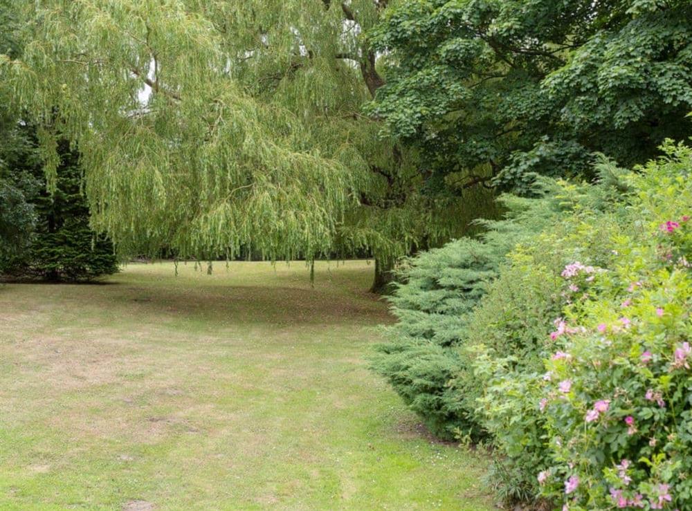 Garden at Old High Hall in Wickhambrook, Nr Newmarket, Suffolk., Great Britain