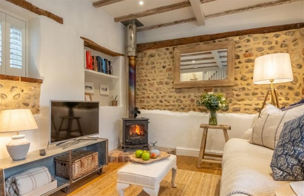 Sitting room with Smart television and wood burning stove