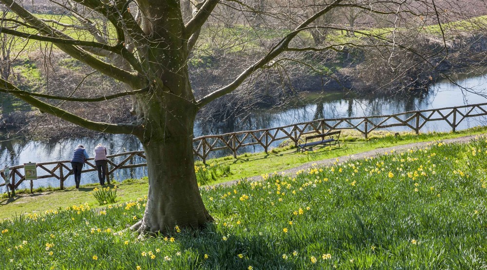 The Garden and River Wye, Herefordshire at Old Mill Cottage in Bringsty, Herefordshire