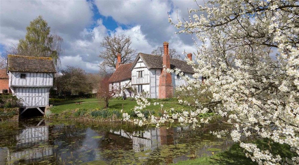 The medieval manor and Damson trees in blossom at Old Mill Cottage in Bringsty, Herefordshire