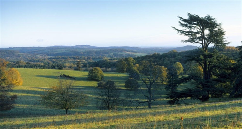 View of rolling landscape with trees and fields from atop a hill at Old Mill Cottage in Bringsty, Herefordshire