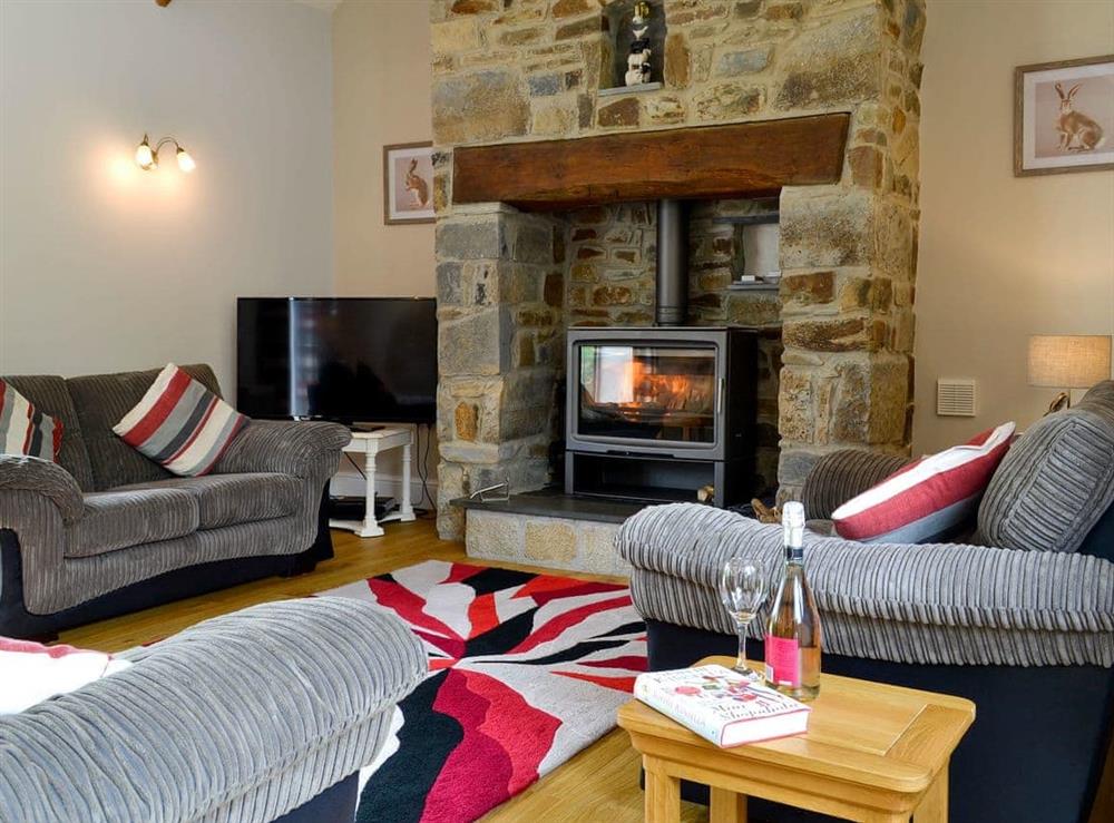 Cosy living area with wood burner at Old Mill in Holsworthy, Devon