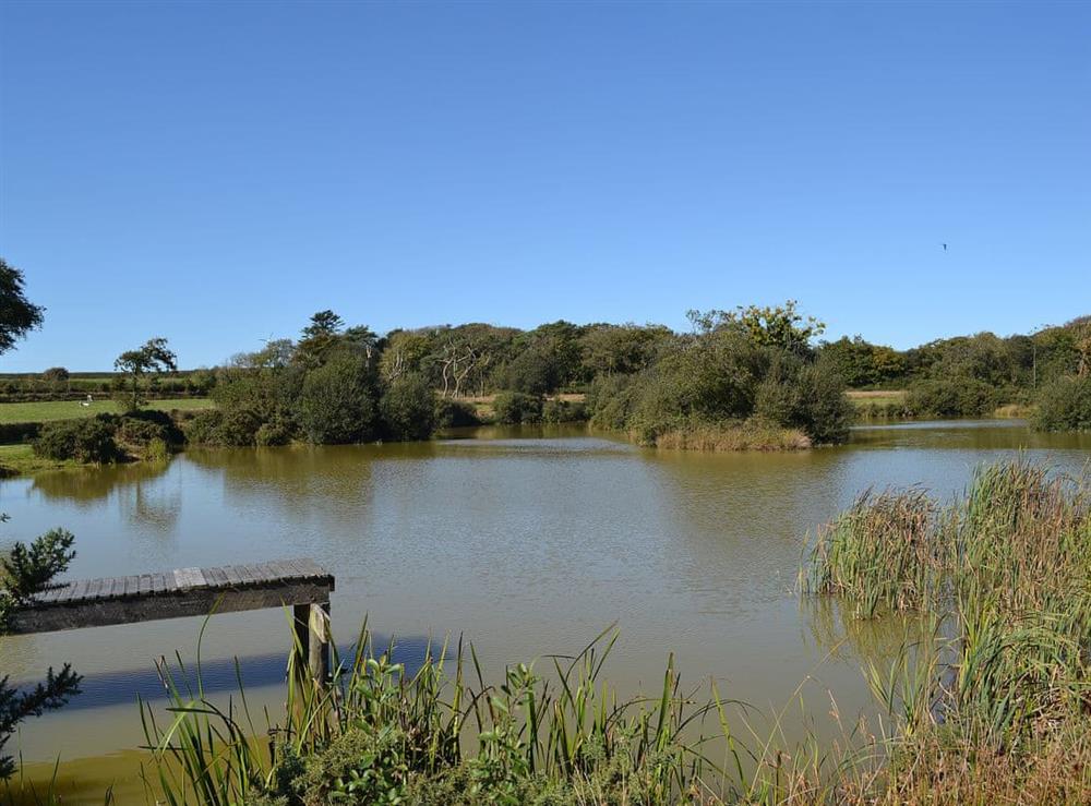 One of the fishing lakes in the grounds available to guests (photo 2) at Old Mill in Holsworthy, Devon