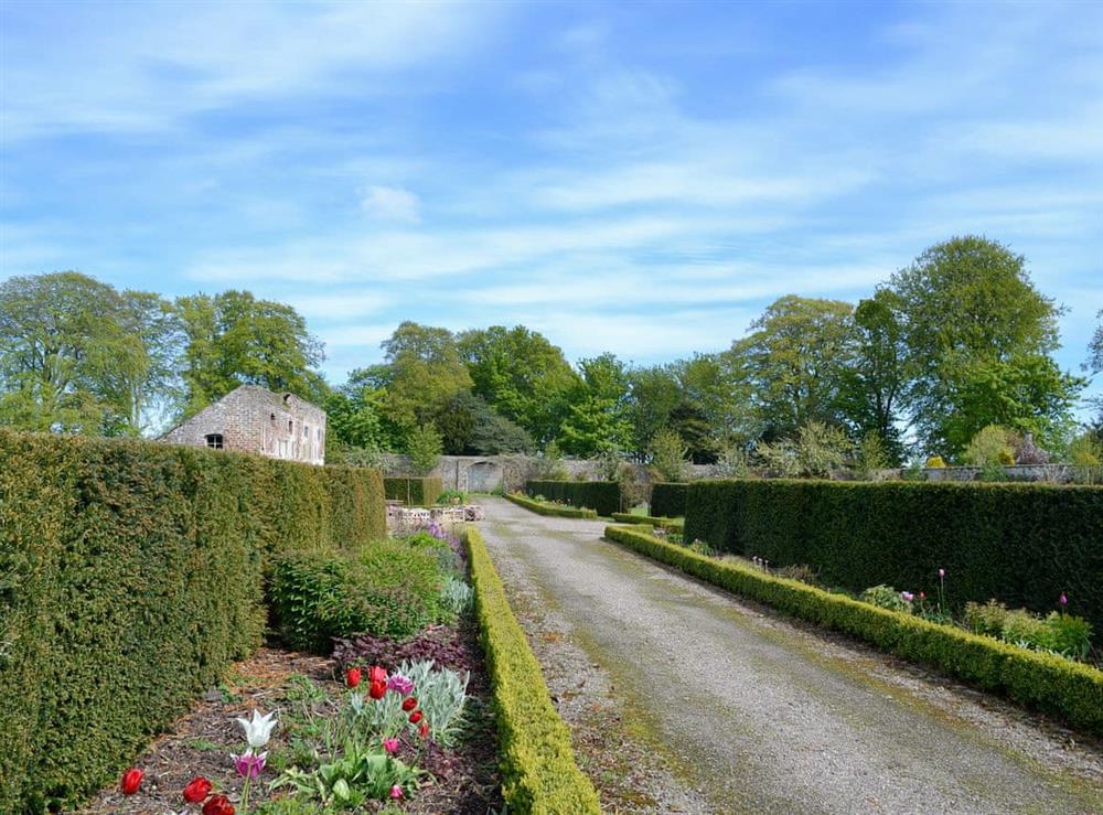 Garden and grounds at Grieves Cottage, 