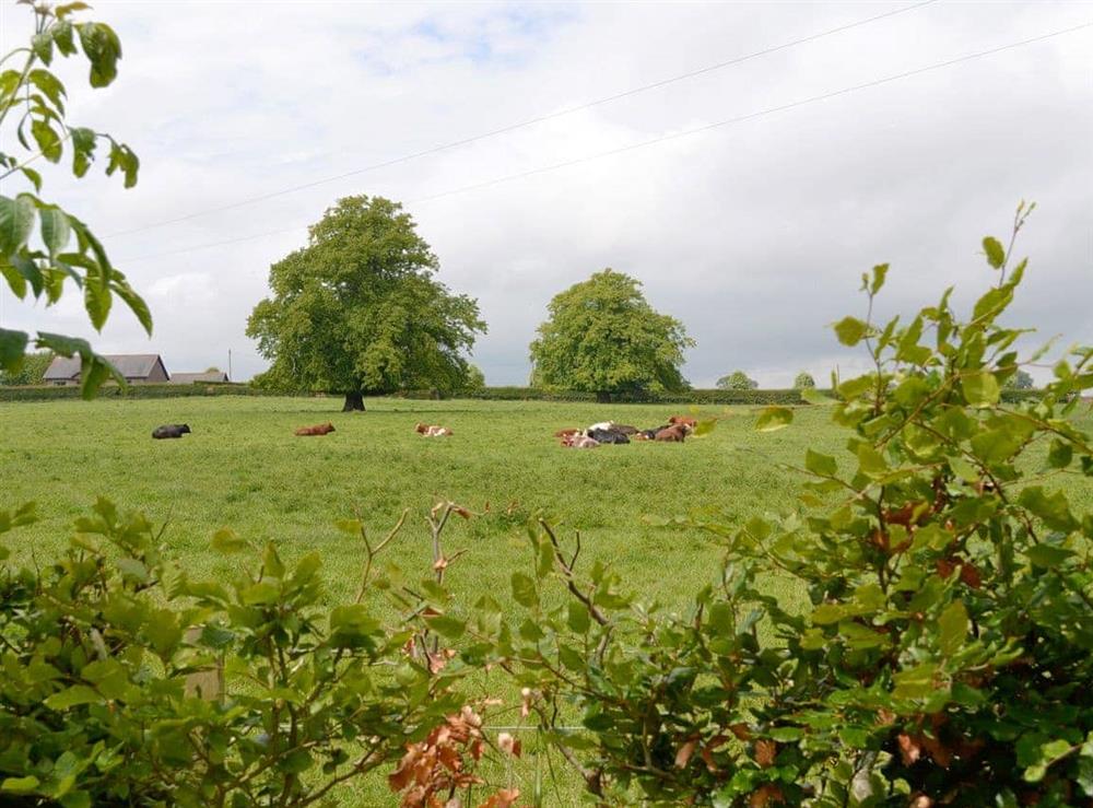Picturesque rural views at The Stables, 