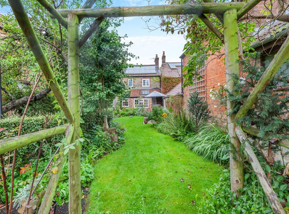Garden at Old Orchard Cottage in Dilton Marsh, near Westbury, Wiltshire