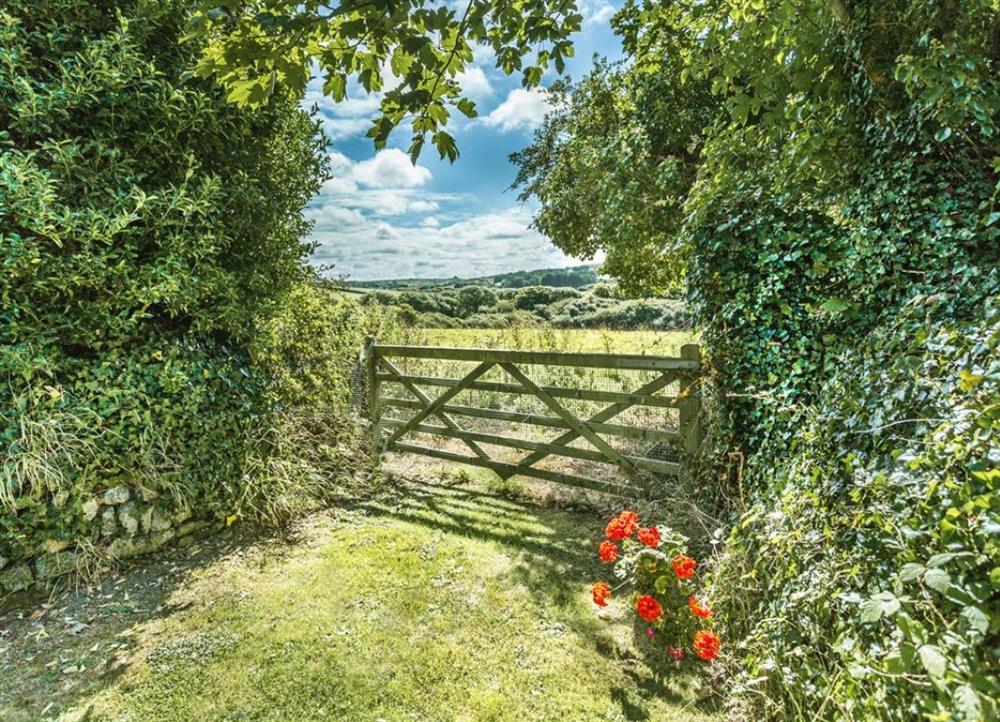 Countryside walks on the doorstep at Old Pear Tree Barn in Cubert
