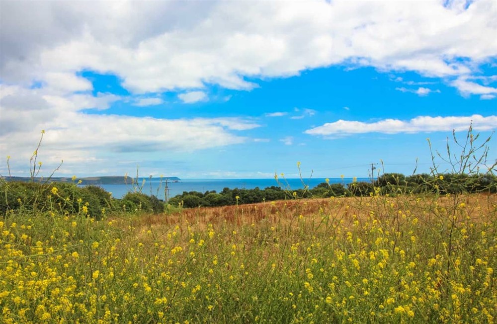 Outdoor area (photo 3) at Old School House in Gerrans near Portscatho, Cornwall