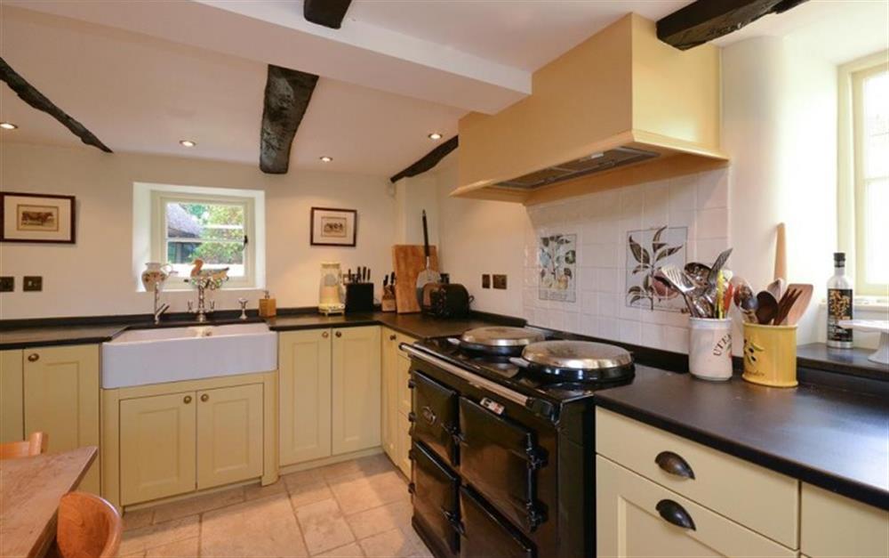 A closer look at the kitchen complete with electric AGA at Old Thatch in Torcross