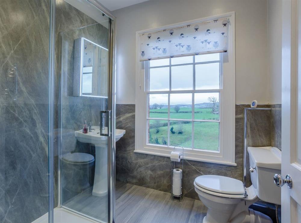 Shower room at Old Upper Gwestydd in Newtown, Powy, Powys