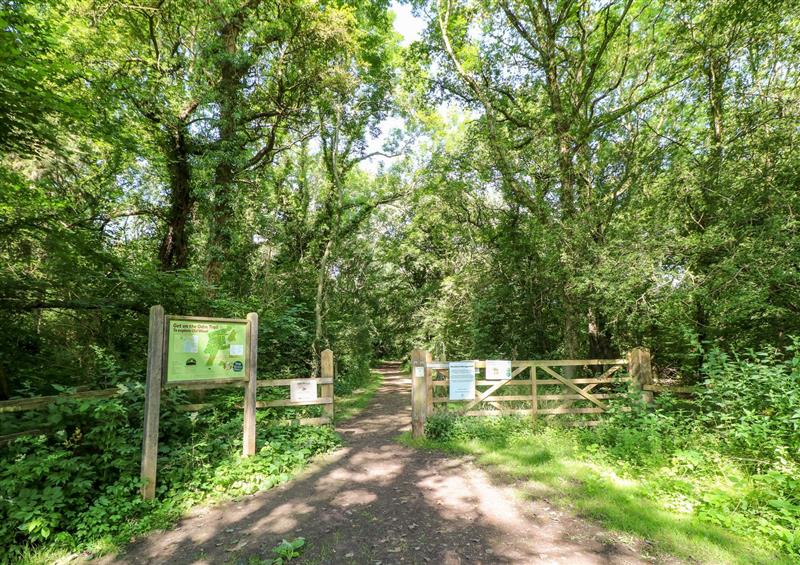 The area around Old Wood Coach House at Old Wood Coach House, Skellingthorpe