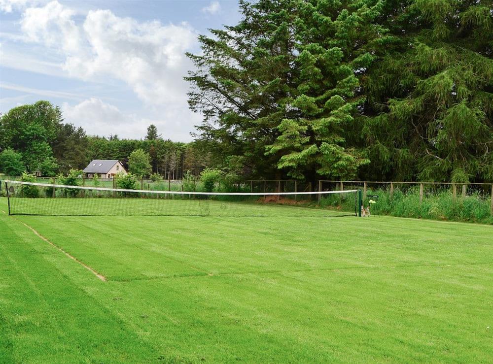 Grass tennis court (photo 2) at Oldfield in Westruther, near Lauder., The Scottish Borders