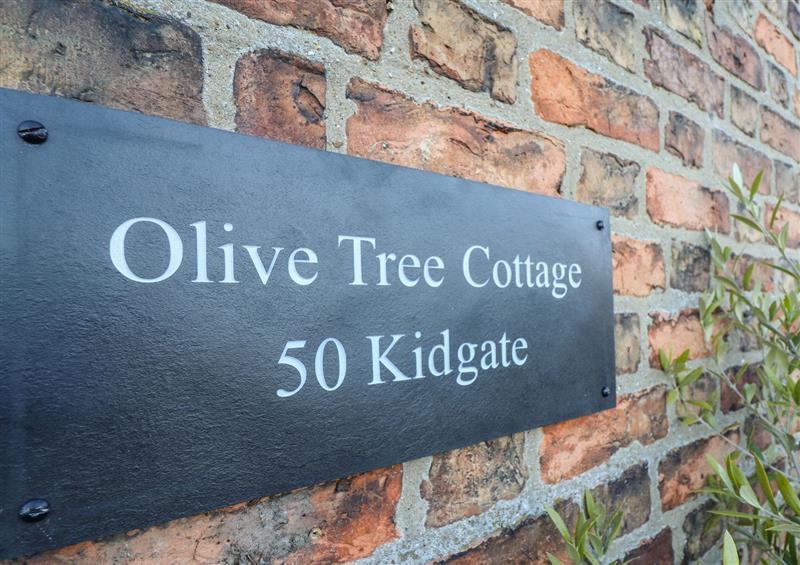 Enjoy the garden at Olive Tree Cottage, Louth