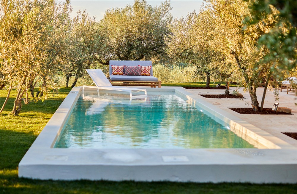 Olive Tree House (photo 14) at Olive Tree House in , Portugal