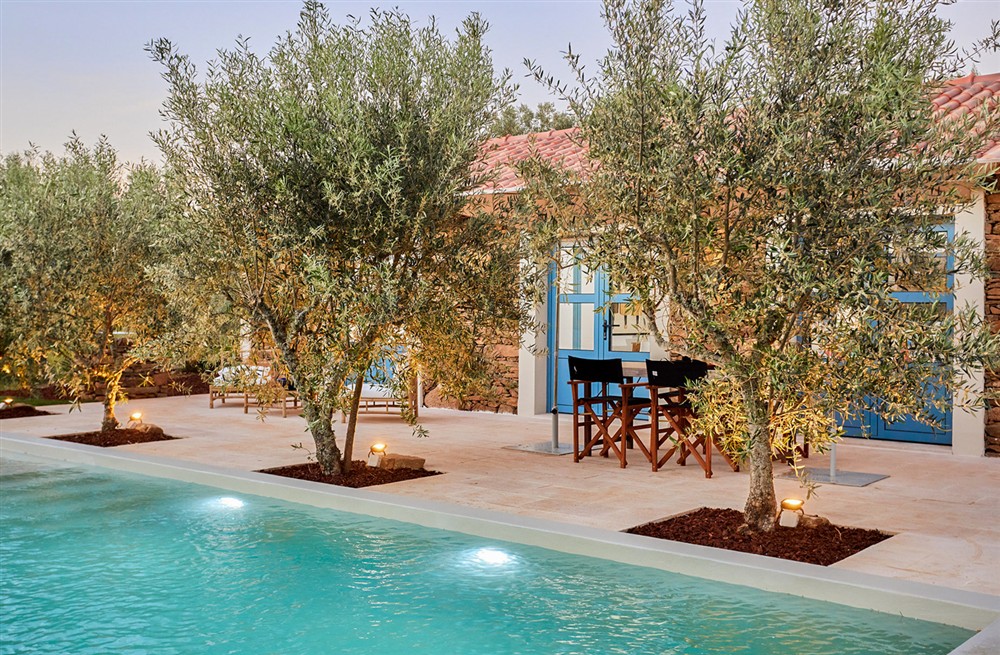 Olive Tree House (photo 19) at Olive Tree House in , Portugal