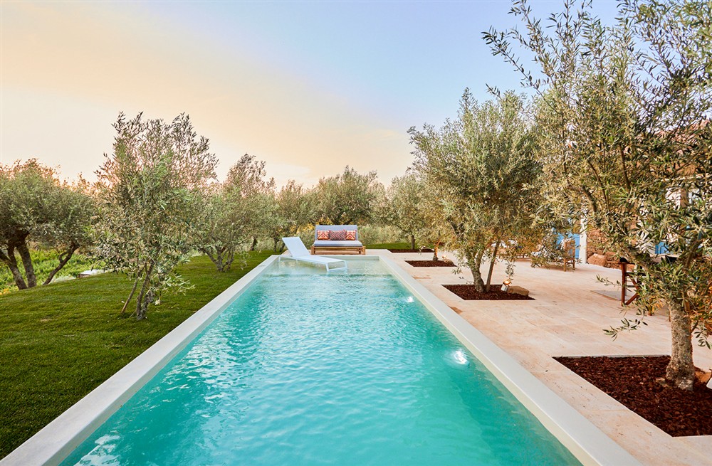 Olive Tree House (photo 2) at Olive Tree House in , Portugal