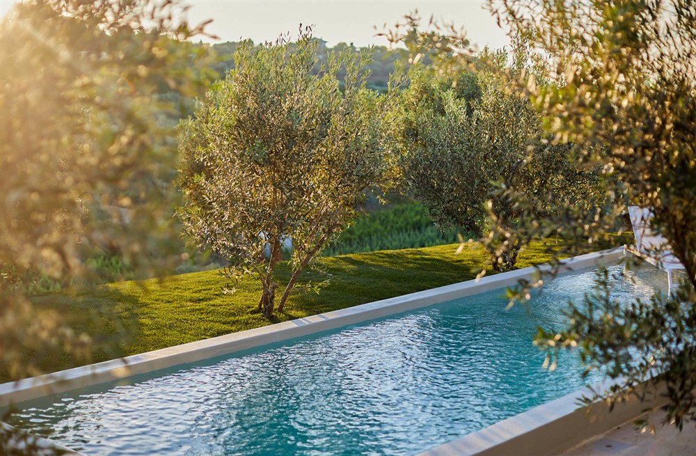 Olive Tree House (photo 9) at Olive Tree House in , Portugal
