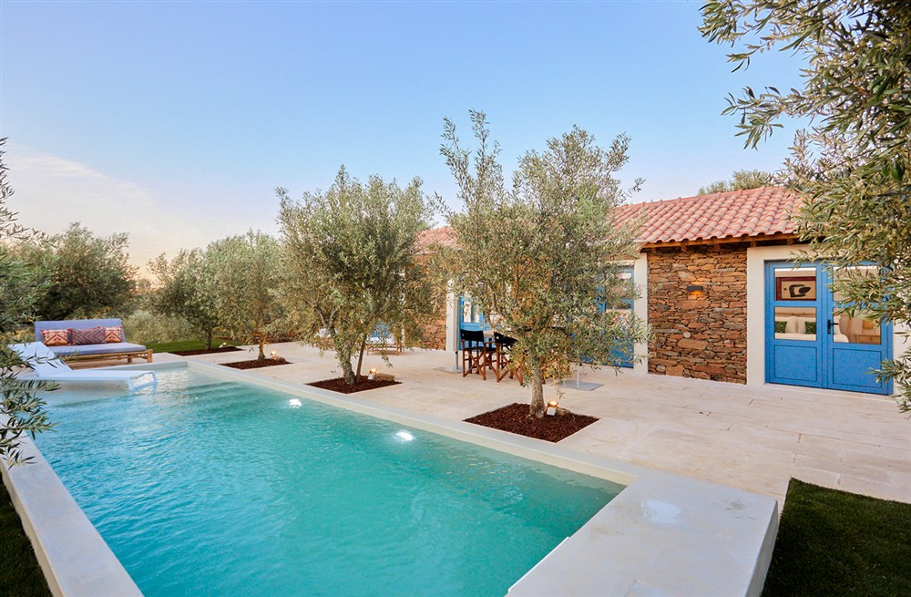 Olive Tree House at Olive Tree House in , Portugal