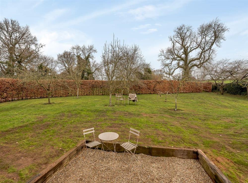 Garden (photo 5) at Olive in Willington, near Tarporley, Cheshire
