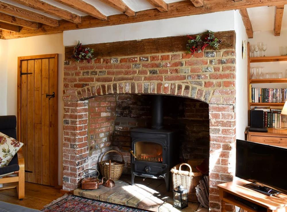Cosy living room with a wood burner at One Well Cottage in Holton, near Halesworth, Suffolk