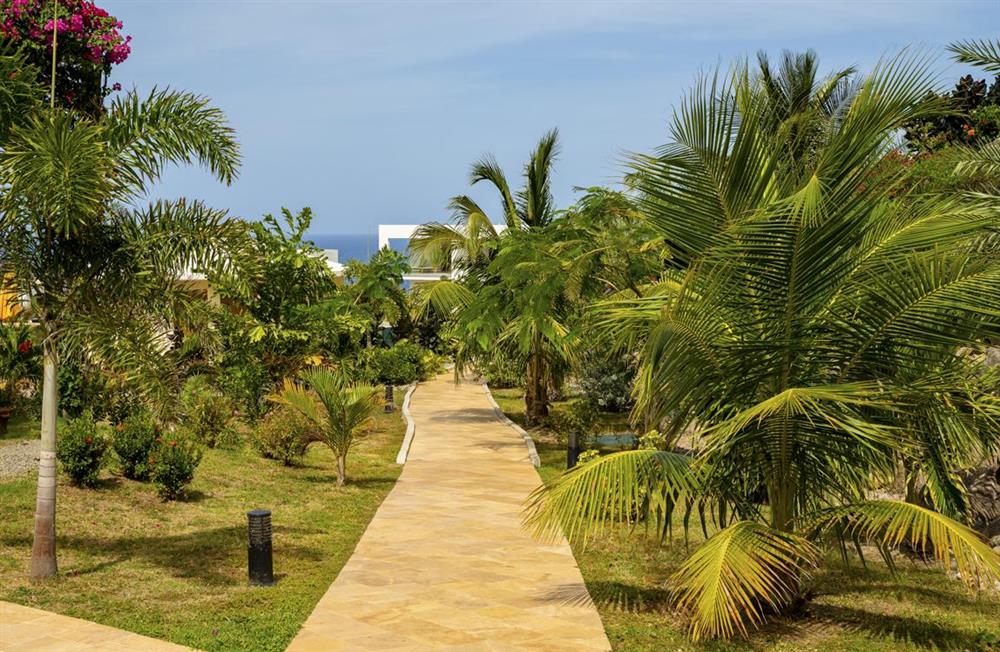 Oranjestad Suite (photo 15) at Oranjestad Suite in St Eustatius, Caribbean