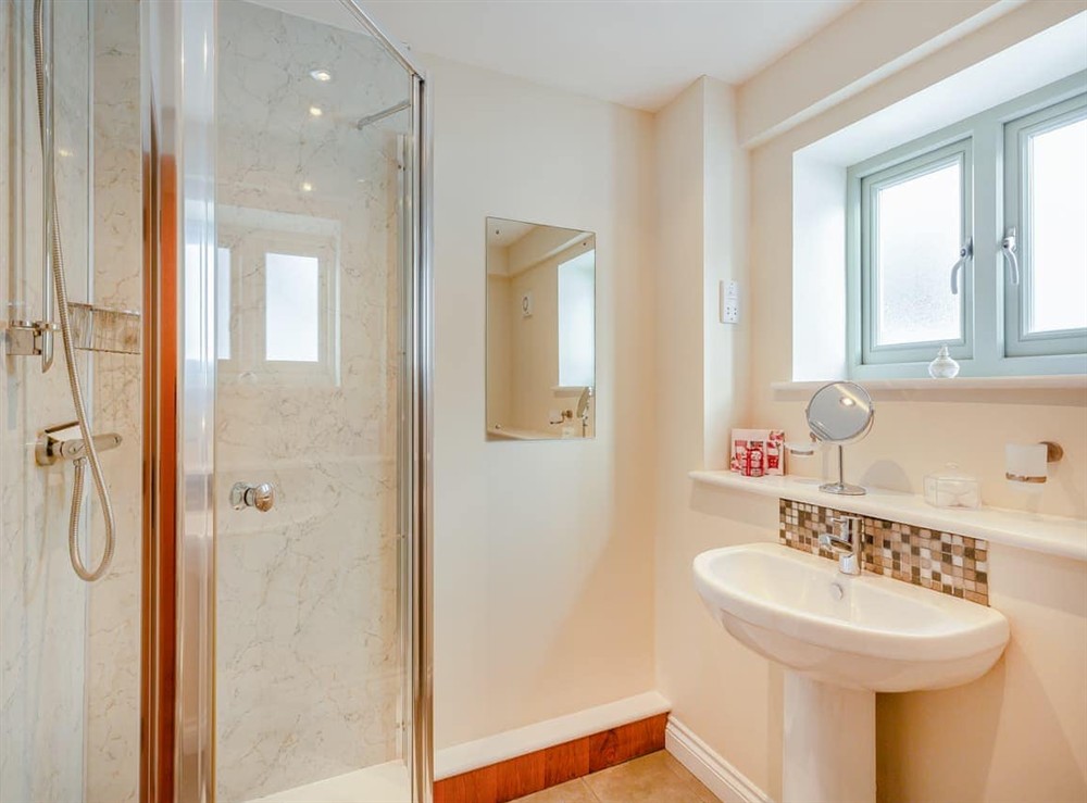 Shower room (photo 4) at Orchard Barn in Llandrindod Wells, Powys